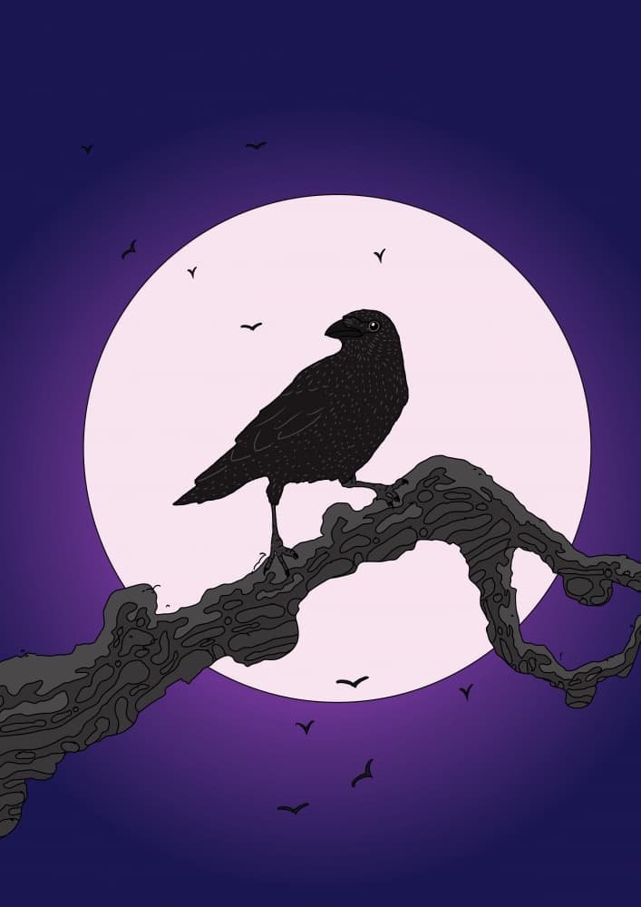 Mystical Raven Moon by Nicholas — canvas wall art