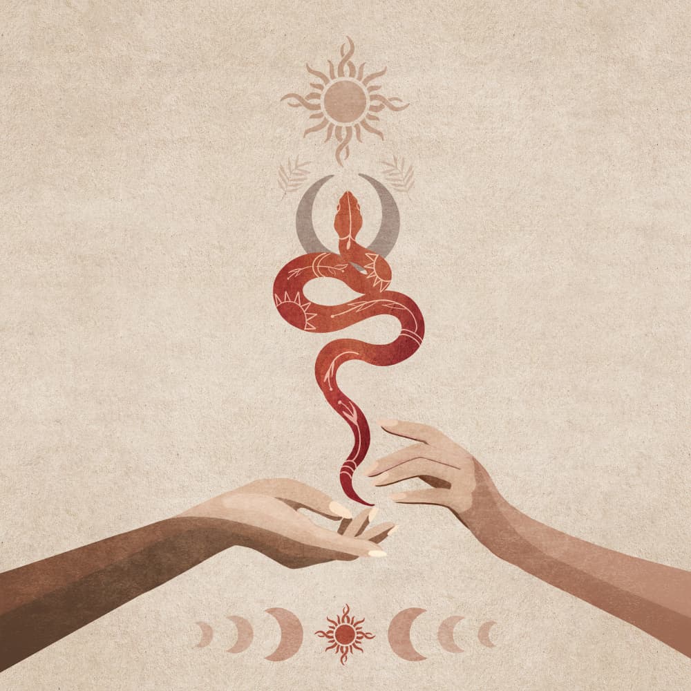 Serpent Harmony by Emel Tunaboylu — canvas wall art
