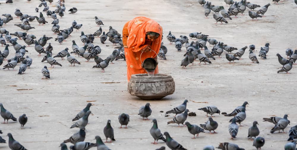 Feeding Pigeons In India by Jean Vandijck — canvas wall art