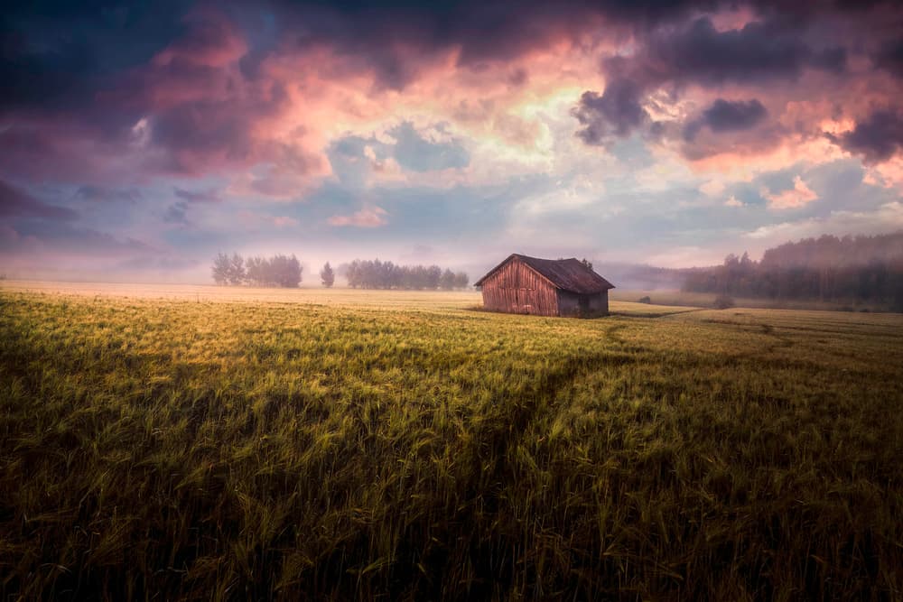 Misty Morning Barn by Mika Suutari — canvas wall art