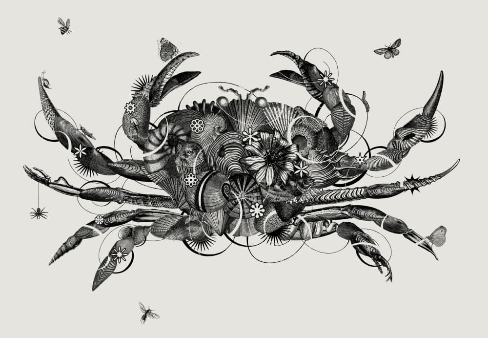 Ornate Mechanical Crab by Jaco Putker — canvas wall art