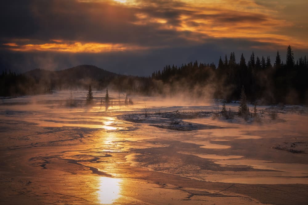 Golden Winter Mist by Leechee Z — canvas wall art