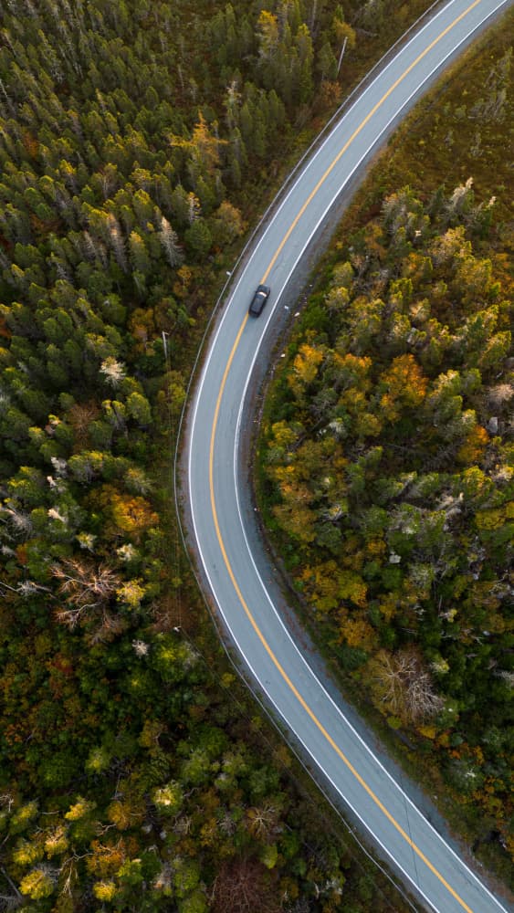 Winding Autumn Road by Ambar Saha — canvas wall art