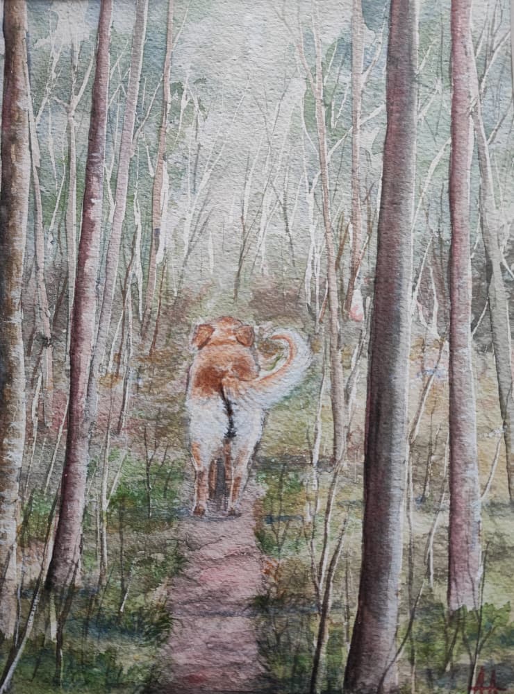 Dog's Forest Walk by Annette Armitage — canvas wall art