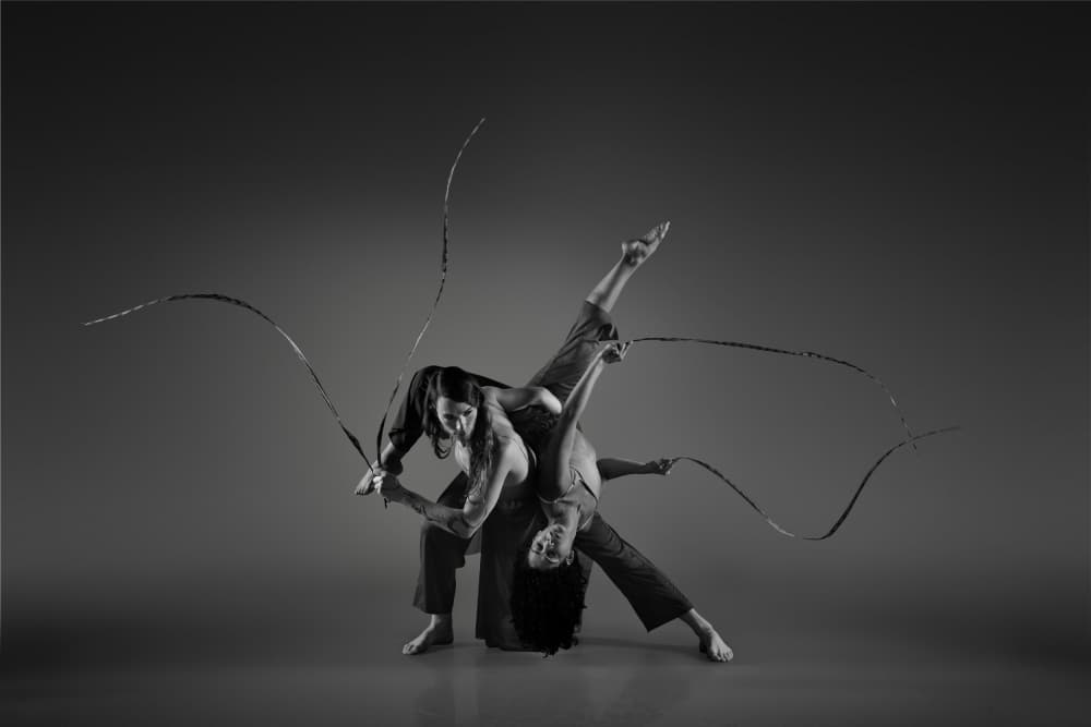 Dynamic Dance Duo by Rob Li — canvas wall art