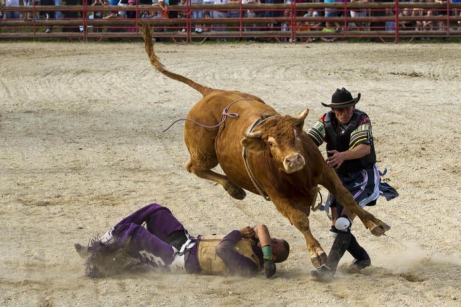 Intense Rodeo Bullfight by Peter Majkut — canvas wall art