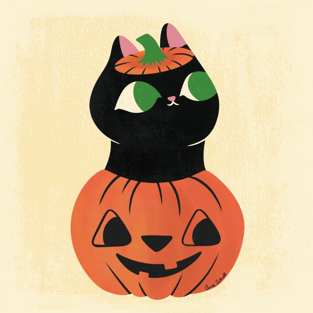 Pumpkin Cat