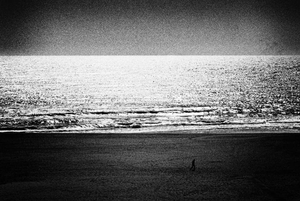 Solitary Beach Walker by Paulo Abrantes — canvas wall art