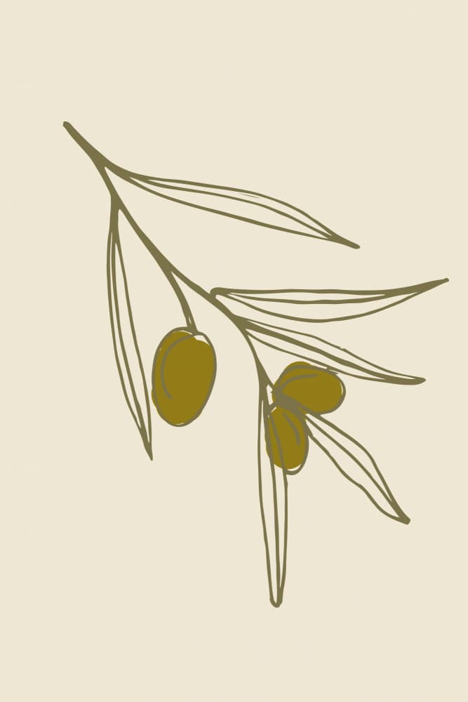 Olivebranchno04 by Treechild — canvas wall art