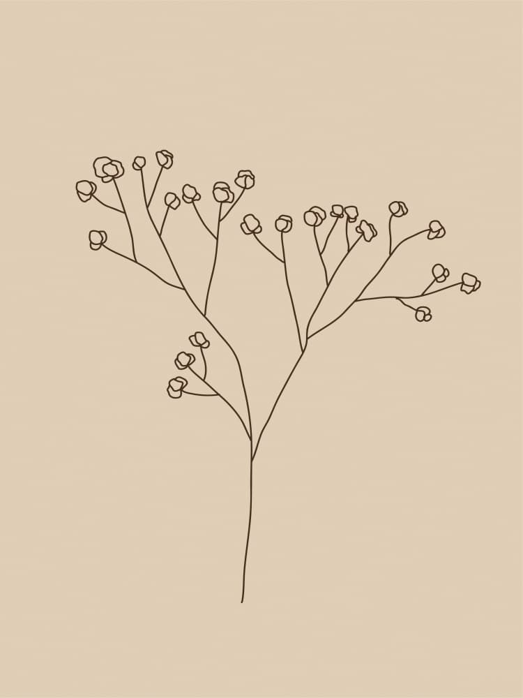 Delicate Line Blossoms