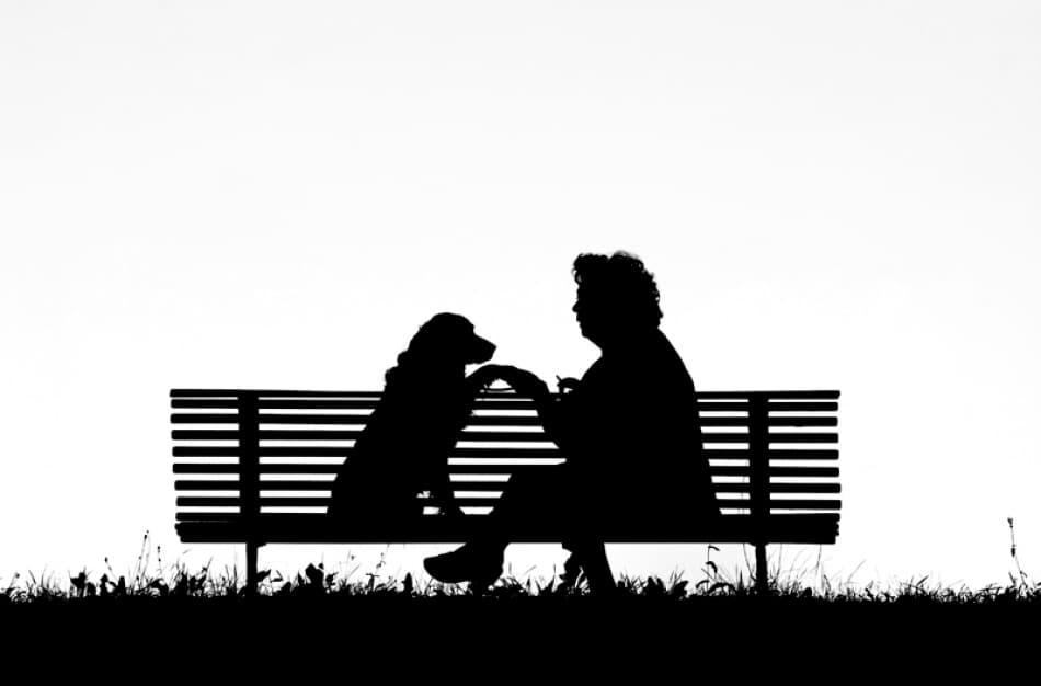 Quiet Companionship by Luciano Caturegli — canvas wall art