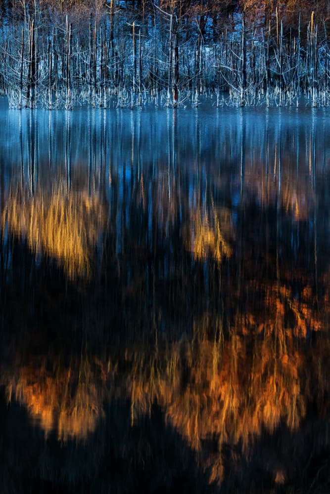 Golden Blue Reflections by Dan Mirica — canvas wall art