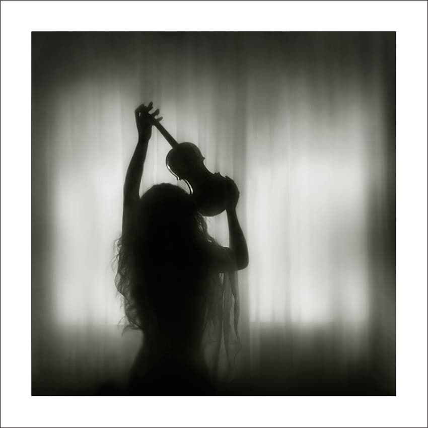 Dreamy Violin Silhouette by Ileana Bosogea-Tudor — canvas wall art