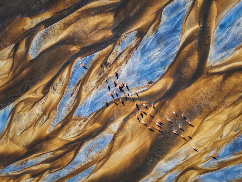 Braided River Horse Herd by Yuan Cui — canvas wall art