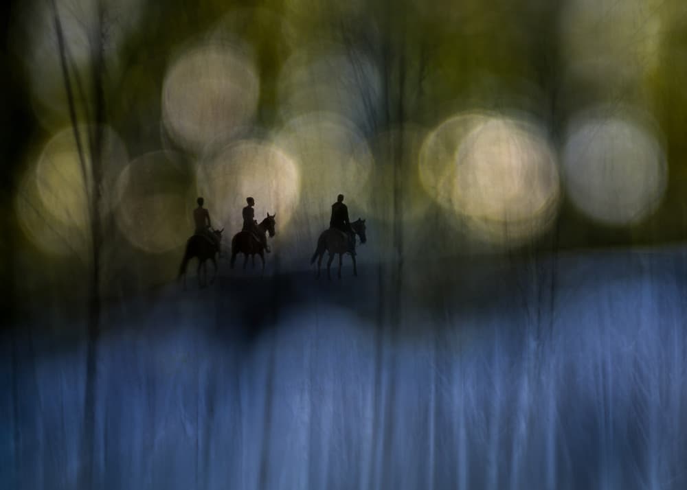 Ethereal Forest Riders by Shenshen Dou — canvas wall art