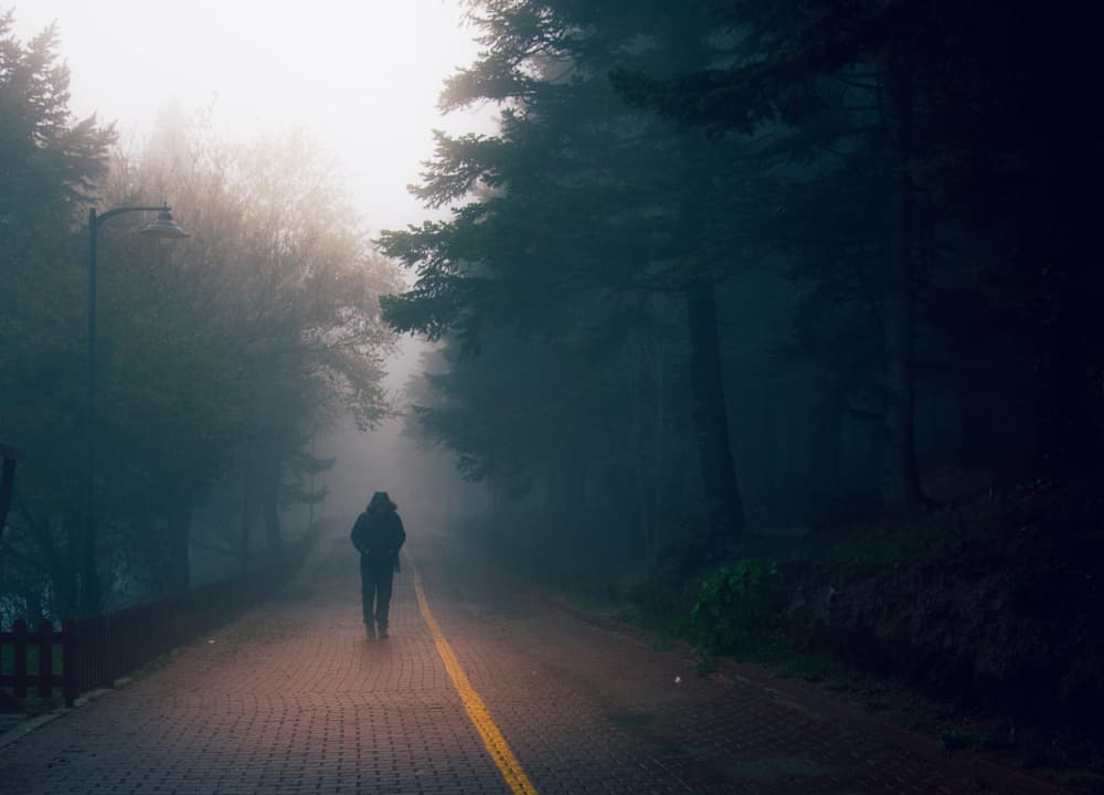 Solitary Foggy Road by Ramiz Sahin — canvas wall art