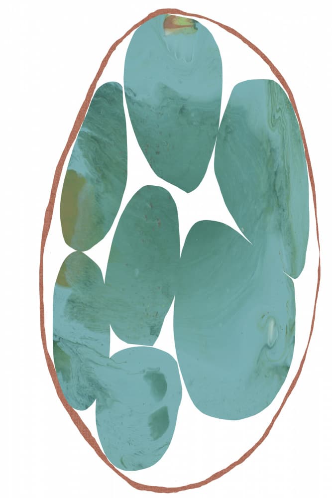 Ethereal Organic Forms by cartissi — canvas wall art