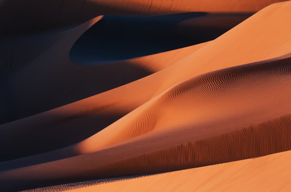 Desert Dune Shadows by Jenny Qiu — canvas wall art