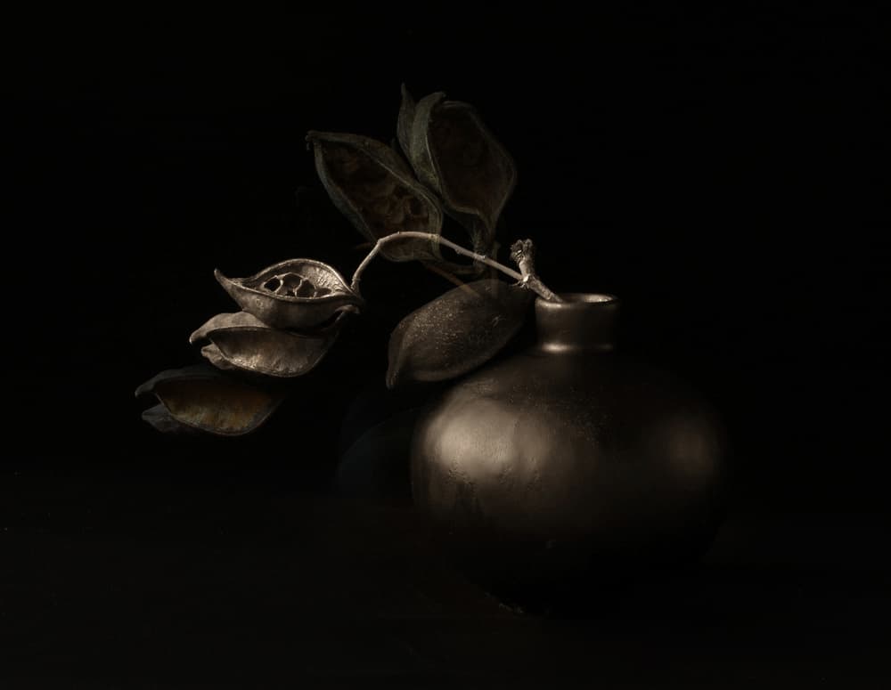 Moody Seed Pods by Margaret Halaby — canvas wall art