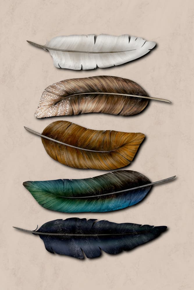 Natural Feather Hues by EMELIEmaria — canvas wall art