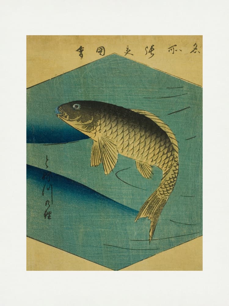 Carp In the Tone River, Tonegawa No Koi by Utagawa Hiroshige — canvas wall art