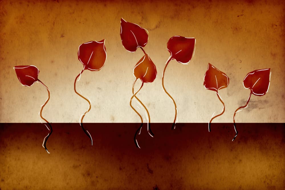 Dancing Red Leaves by Rafal Kulik — canvas wall art