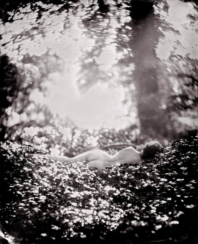 Forest Nude Repose by Peter van Hal — canvas wall art