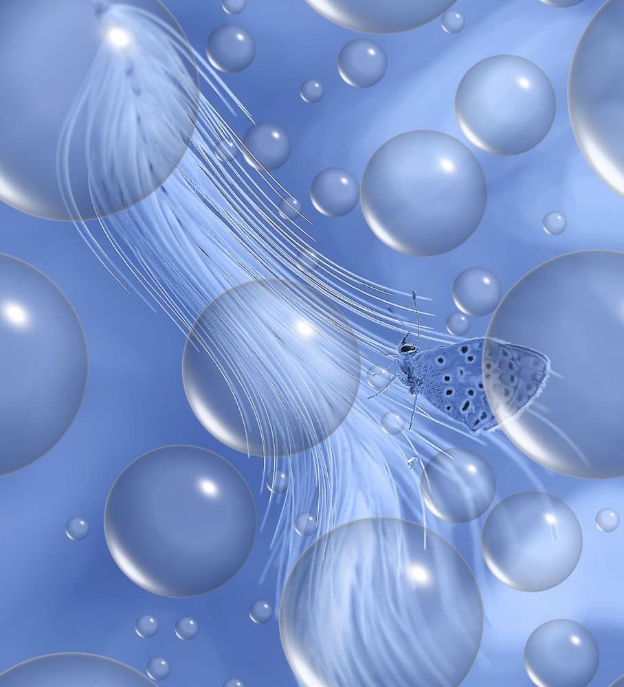 Blue Butterfly Bubble Dream by Thierry Dufour — canvas wall art