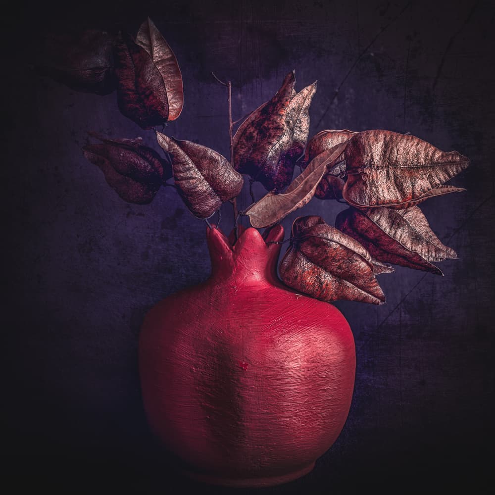 Moody Pomegranate Foliage by Cicek Kiral — canvas wall art