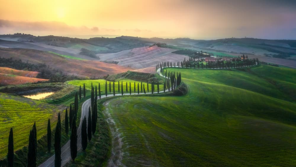Tuscan Cypress Road Sunrise by Jianping Yang — canvas wall art