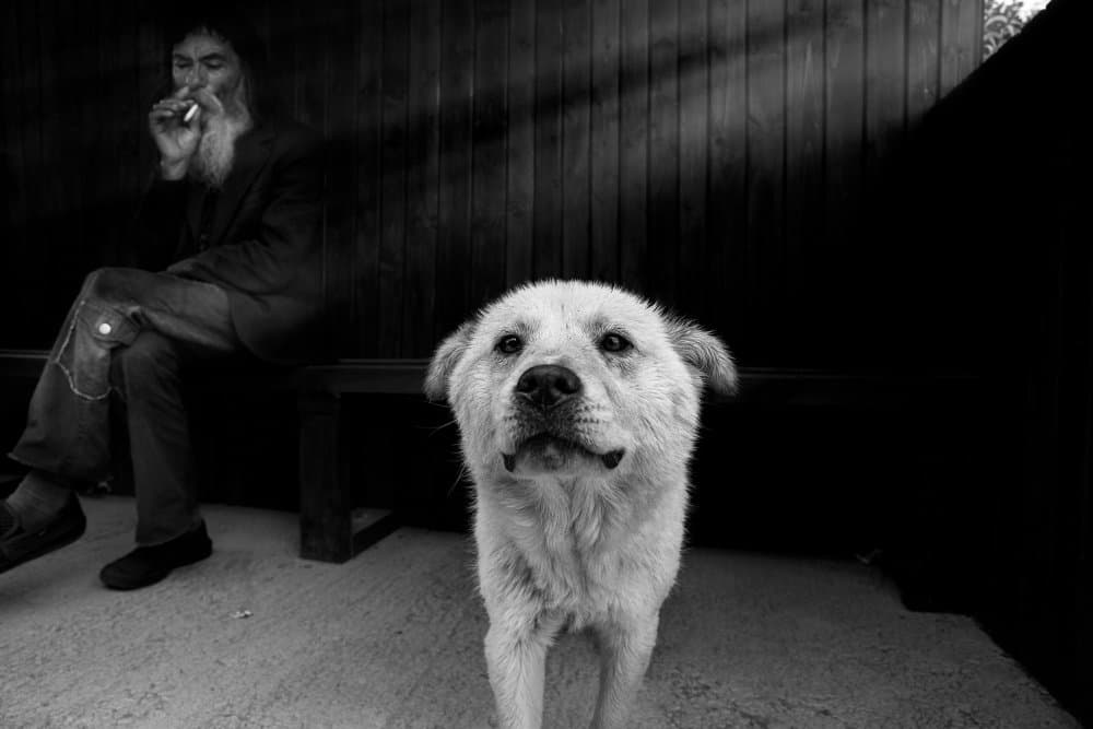 Smoking Man And Dog by Todor Tanev — canvas wall art