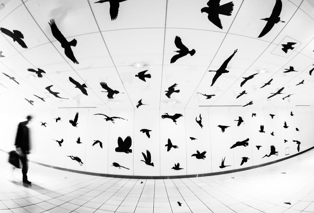 Urban Flight Tunnel by Tetsuya Hashimoto — canvas wall art
