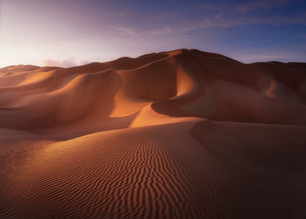 Golden Desert Dunes by joanaduenas — canvas wall art