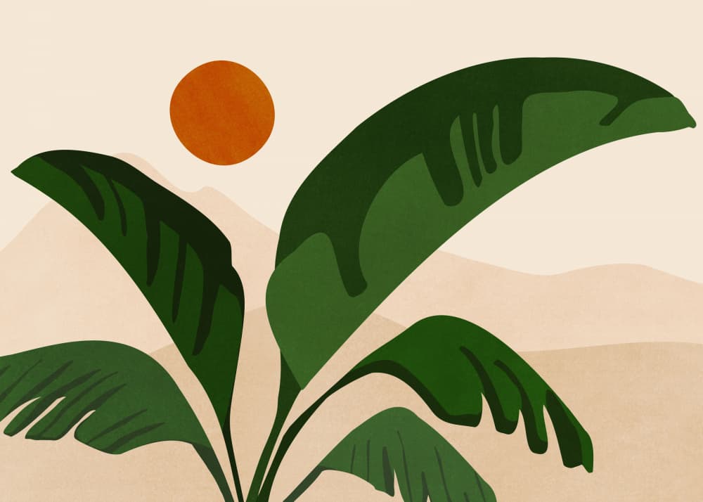 Spirit of the Tropics.png by Kristian Gallagher — canvas wall art
