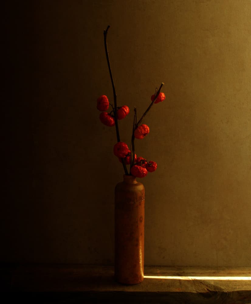 Red Berries Still Life by Margaret Halaby — canvas wall art