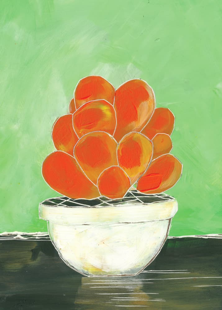 Vibrant Potted Succulent by Sarah Fitzgerald — canvas wall art