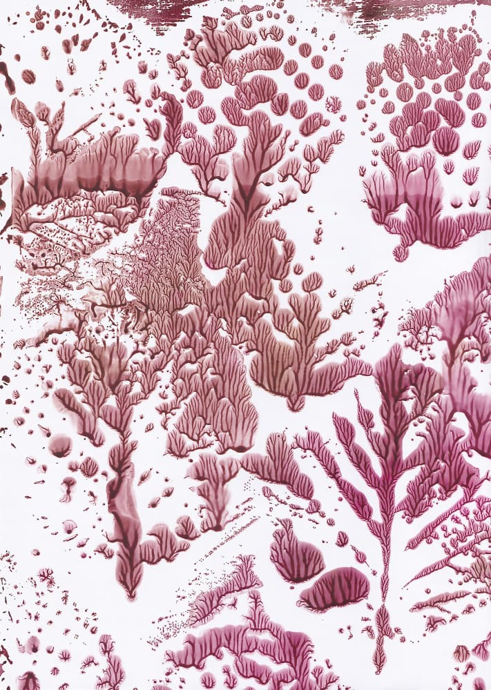 Organic Maroon Flow by Maira Ribena — canvas wall art