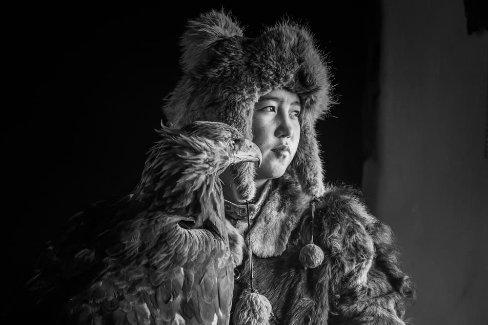 Mongolian Eagle Hunter by ADIREK M — canvas wall art