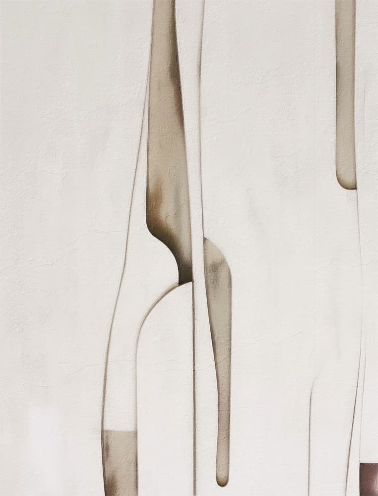 Organic Abstract Forms by Alma — canvas wall art
