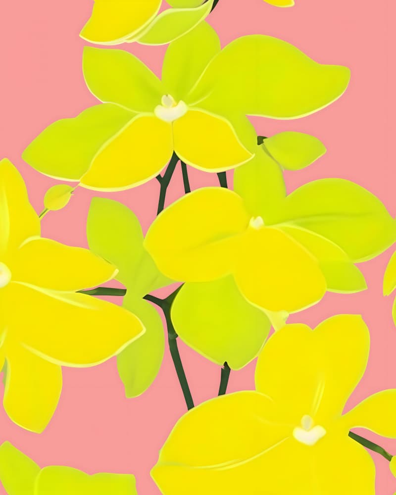 Where Sunshine Blooms Louder Than Words: Mokara Orchid by Uma Gokhale — canvas wall art