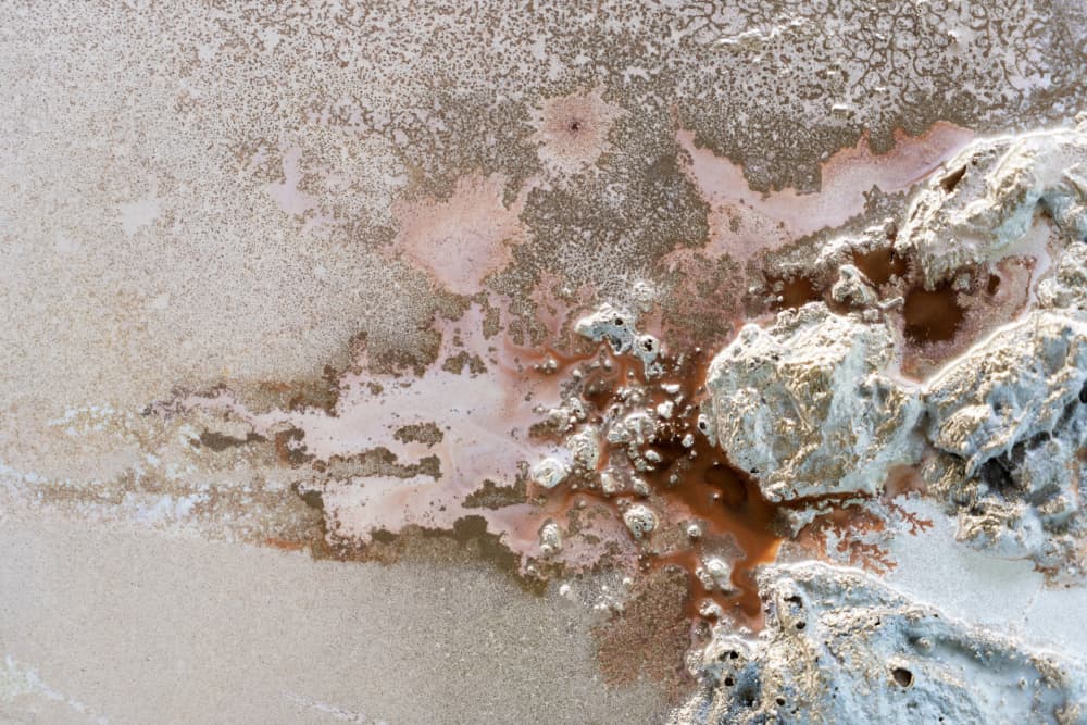 Wonderlust by Petra Meikle de Vlas — canvas wall art