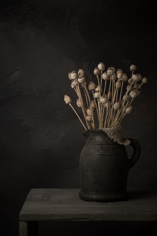 Moody Dried Poppy Pods by Mayra Pama — canvas wall art