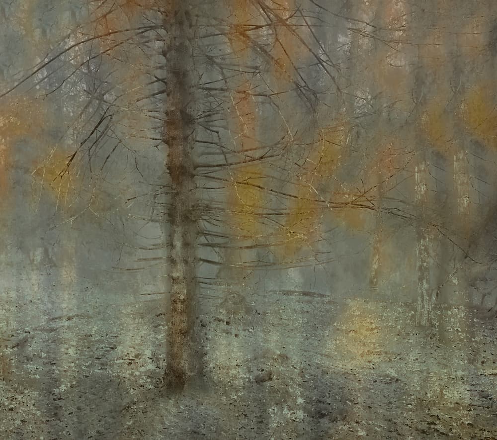 Pine tree by Nel Talen — canvas wall art