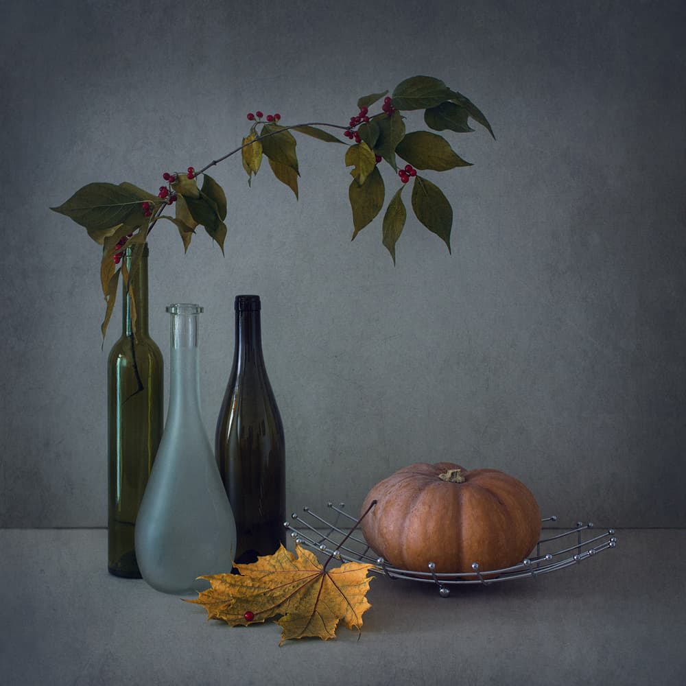 Autumn Pumpkin Still Life by Dimitar Lazarov - Dim — canvas wall art