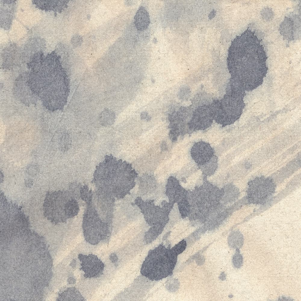 Soft Ink Washes by Dina Dankers — canvas wall art