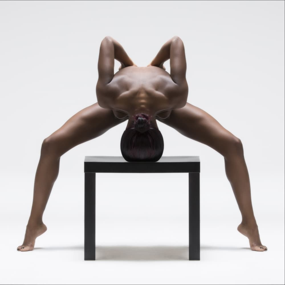 Graceful Inverted Form by Catchlight Studio — canvas wall art
