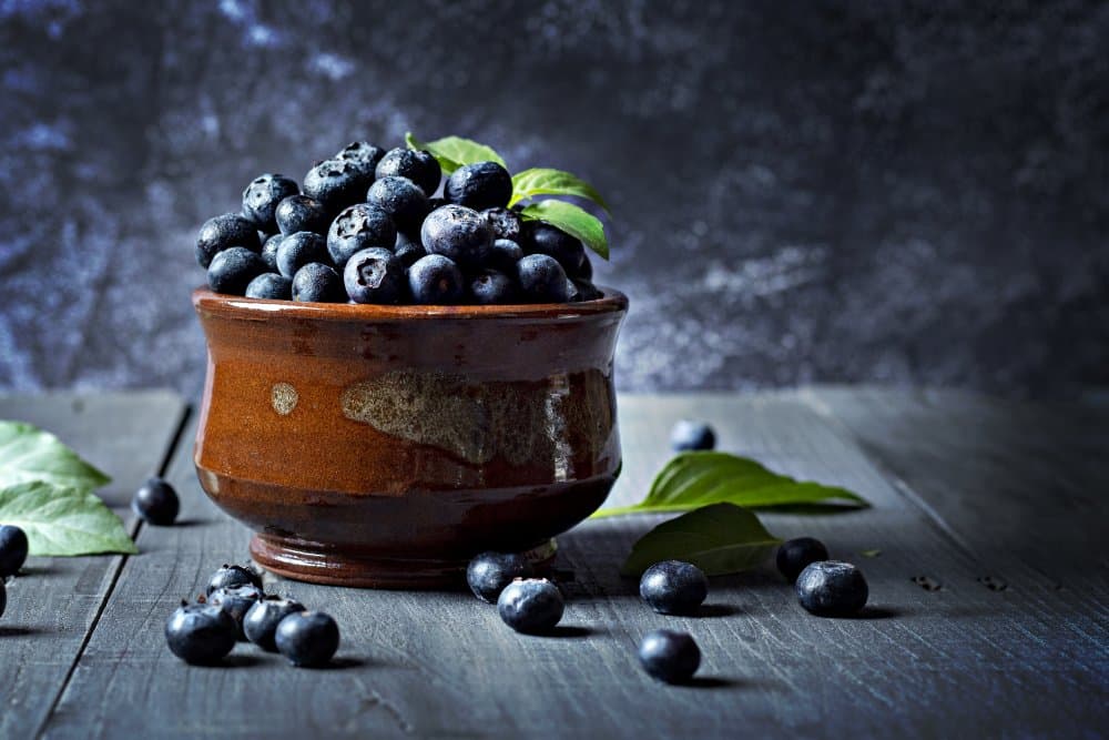 Dark Blueberries Still Life by FAWZY HASSAN — canvas wall art