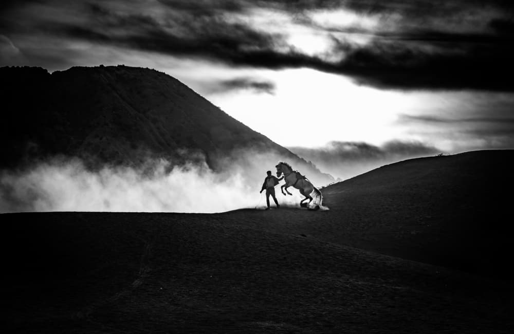 Man Horse Mountain Mist by Joseph Ng — canvas wall art
