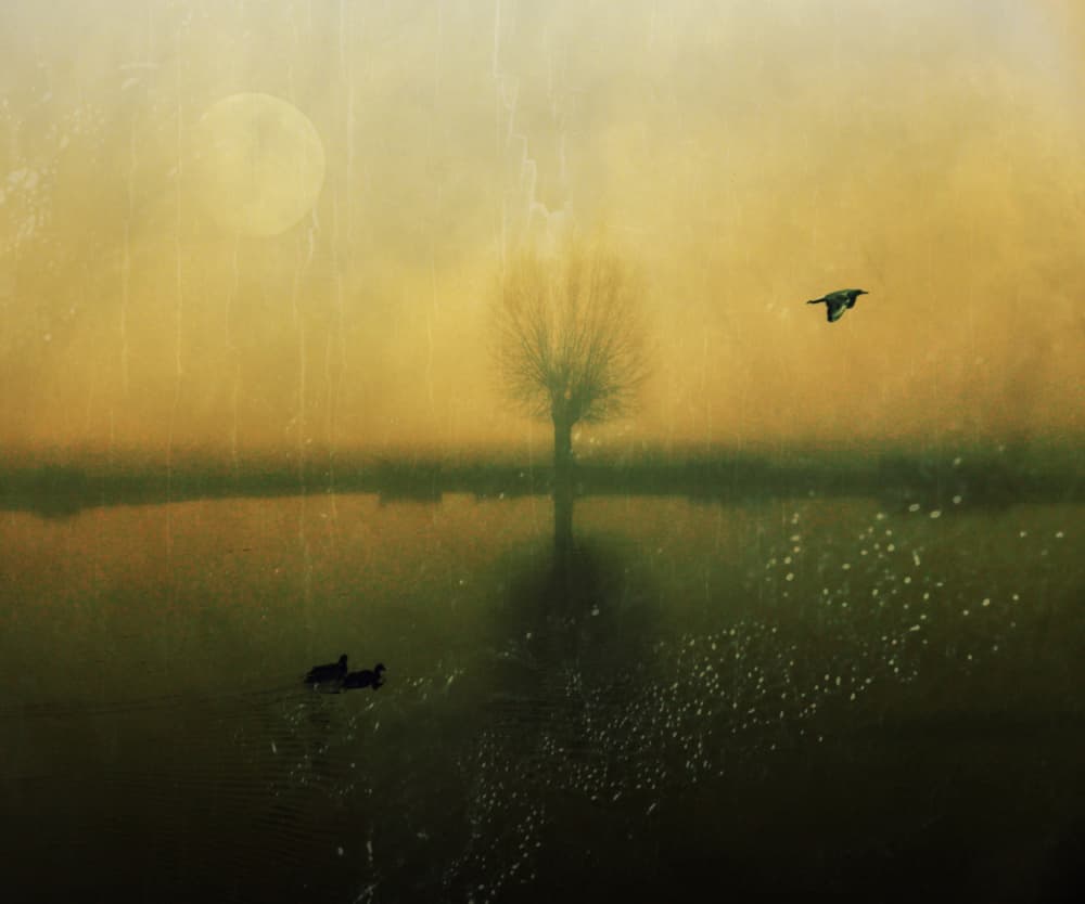 Misty Golden Lake by Robert Fabrowski — canvas wall art