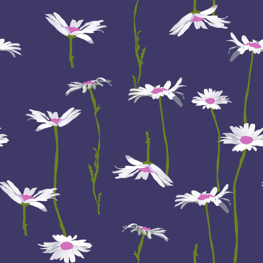 Floating White Daisies by Charlotte Trudgett — canvas wall art